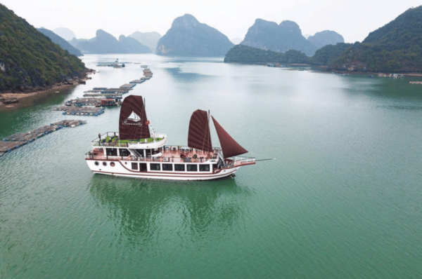 FROM CATBA: LAN HA BAY ON SERENITY PREMIUM CRUISE - Local Insights