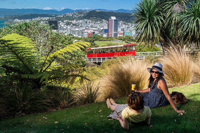 From Cave to Coast Wellington Highlights Tour - Tour Highlights and Overview