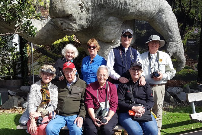 From Cave to Coast Wellington Highlights Tour - Reviews and Feedback