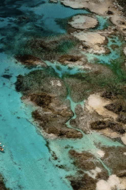 From Caye Ambergris: One Way Share Transfer to Bacalar - Comfortable Shared Shuttle