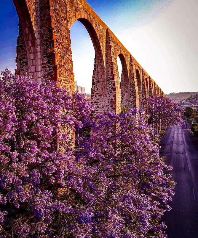 FROM CDMX: Michoacan, Morelia, Guanajuato, Queretaro, Morelos, Guerrero - The Itinerary Breakdown: What You Can Expect