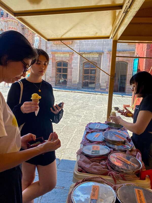 From CDMX: One day tour of colonial San Miguel de Allende - The Practicalities