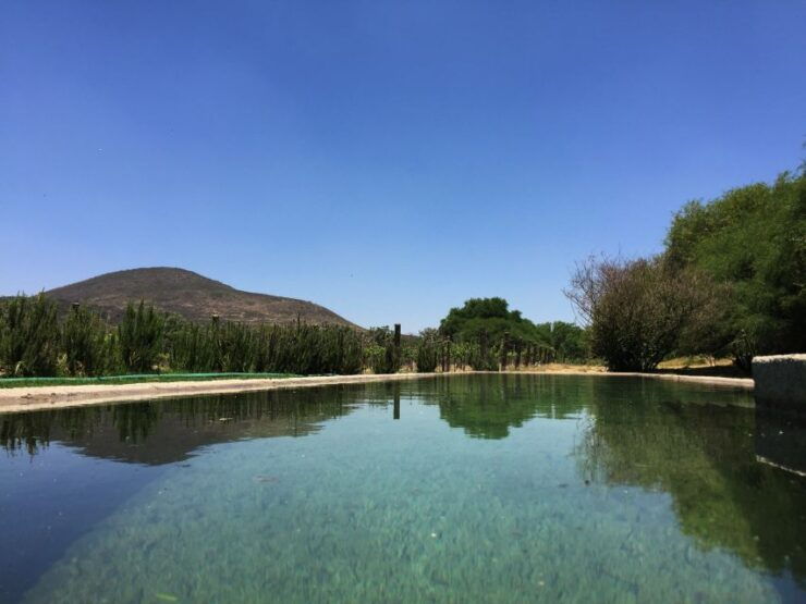 From CDMX: Private Tour to Peña De Bernal & Freixenet Winery - Tour Details and Pricing
