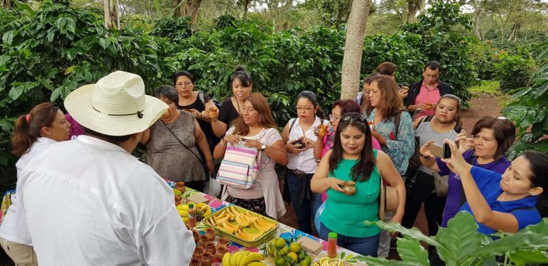 FROM CDMX: Puebla, Oaxaca, Veracruz, Chiapas, Campeche, Yucatan 13 DAYS - Exploring Mexico in 13 Days: An In-Depth Review  