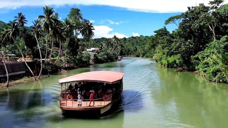 From Cebu: Bohol Countryside & Buffet Lunch Exclusive Tour - Good To Know