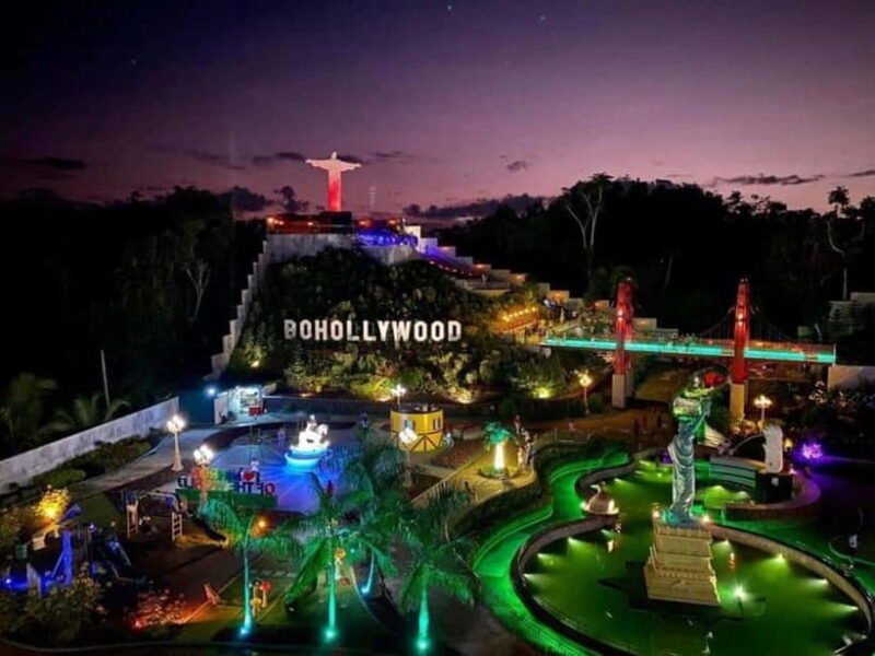 From Cebu: Bohol Countryside Tour Day Trip with Buffet Lunch - Final Thoughts