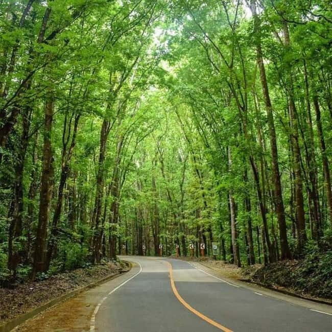 From Cebu: Bohol Countryside Tour Day Trip with Buffet Lunch - FAQs