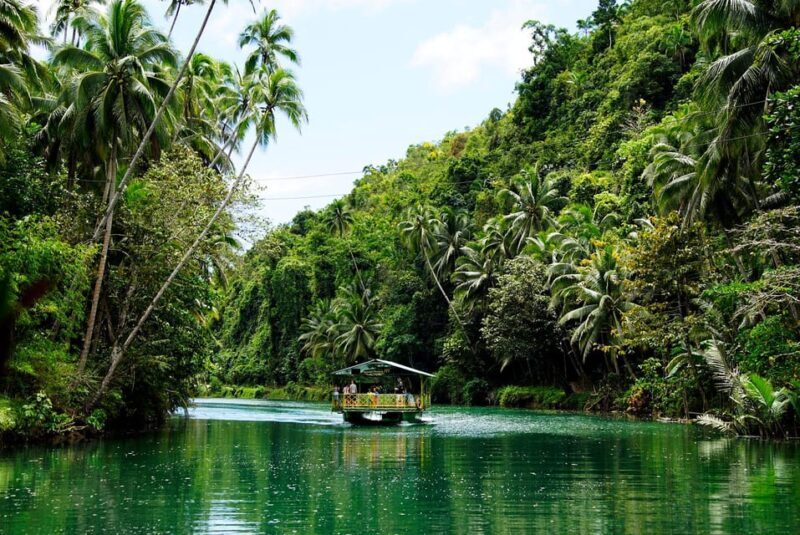 From Cebu-Bohol Day Tour with Roundtrip Ferry Transfers - Transportation and Comfort