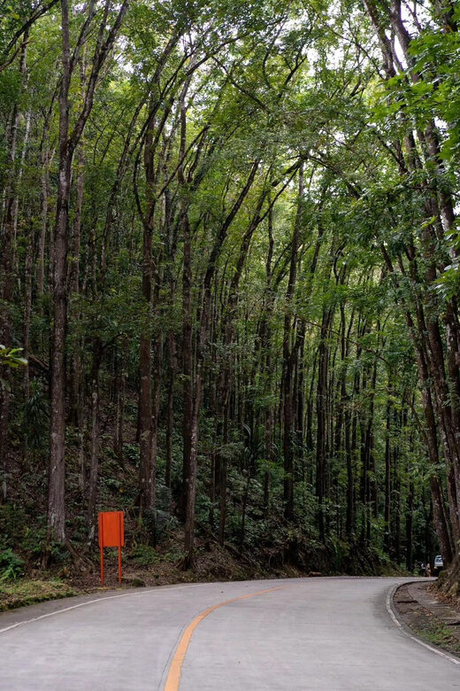 From Cebu-Bohol Day Tour with Roundtrip Ferry Transfers - The Sum Up