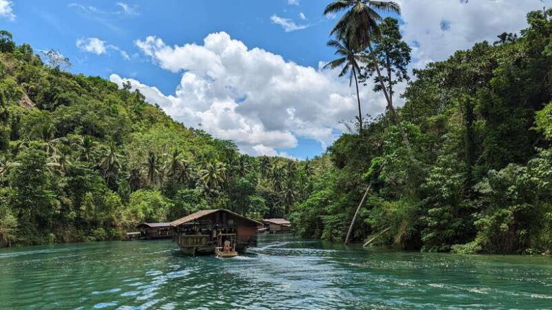 From Cebu City: Bohol Island Highlights in One Day - Authentic Experiences Drawn from Reviews