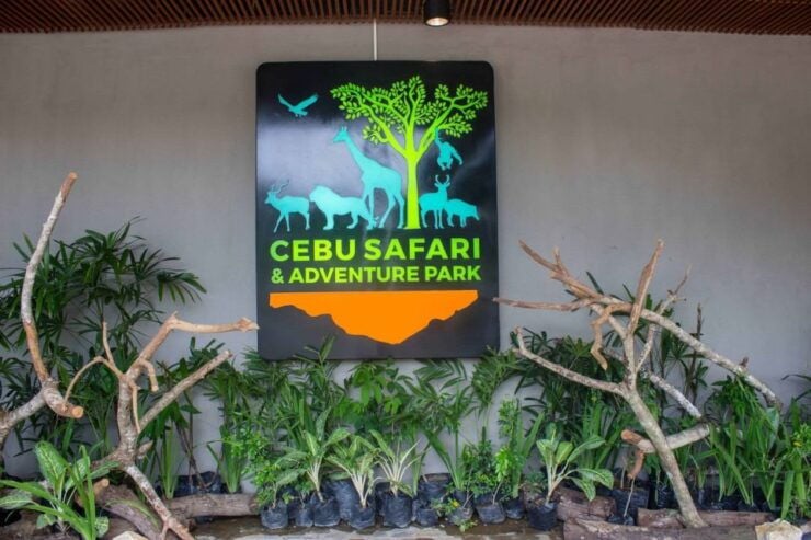 From Cebu City: Cebu Safari and Adventure Park Day Tour - Pickup and Transportation