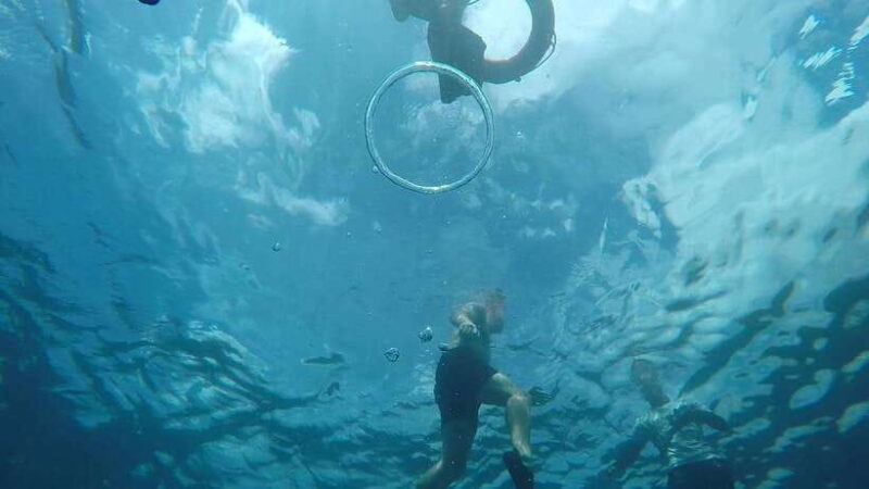 From Cebu City: Moalboal Pescador Snorkeling Tour + Lunch - Practical Tips for the Tour