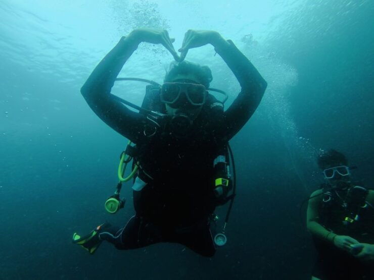 From Cebu City: Scuba Diving With Whale Sharks Trip in Oslob - Whale Shark Encounter