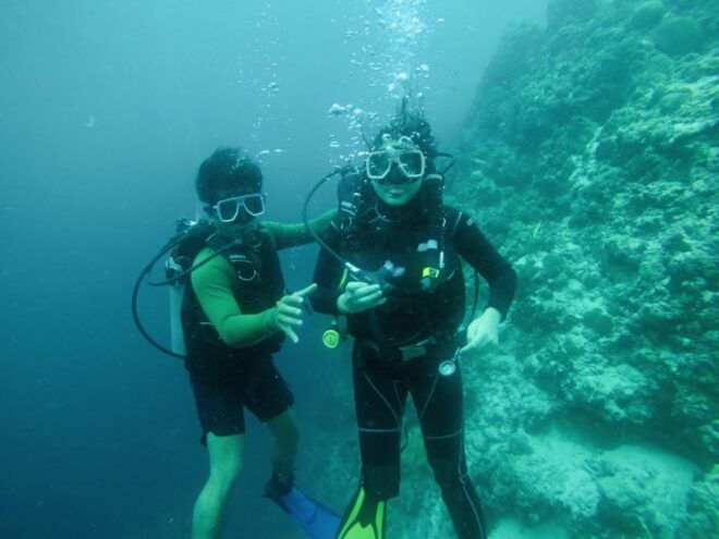 From Cebu City: Scuba Diving With Whale Sharks Trip in Oslob - Booking and Payment