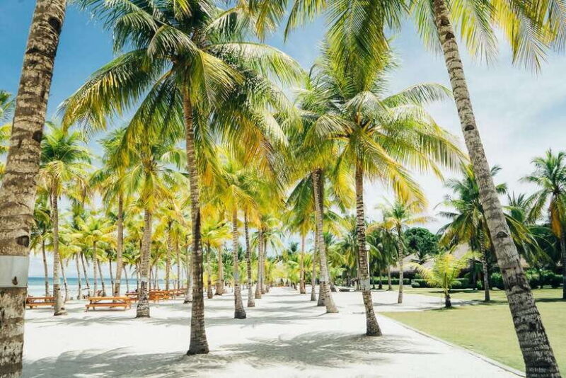 From Cebu: Day Trip to Bohol Highlights - The Full-Day Itinerary: What to Expect