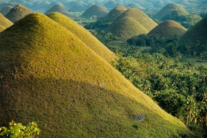 From Cebu: Full-Day Bohol Excursion - Activity Details
