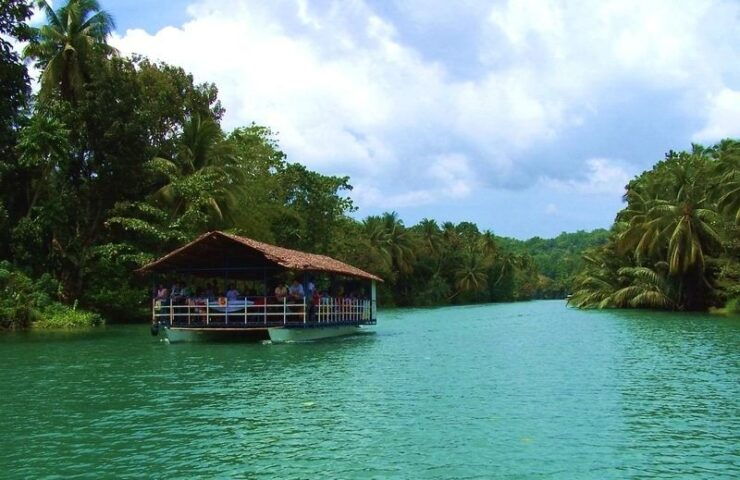 From Cebu: Full-Day Bohol Excursion - Experience Highlights