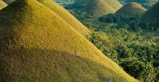 From Cebu: Full-Day Bohol Excursion - Inclusions