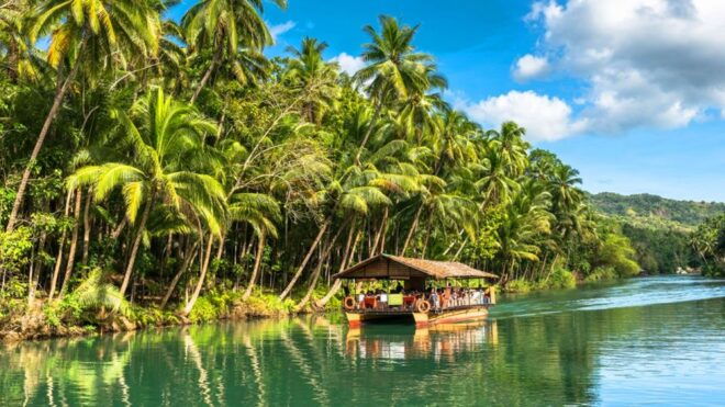 From Cebu: Full-Day Bohol Excursion - Reviews