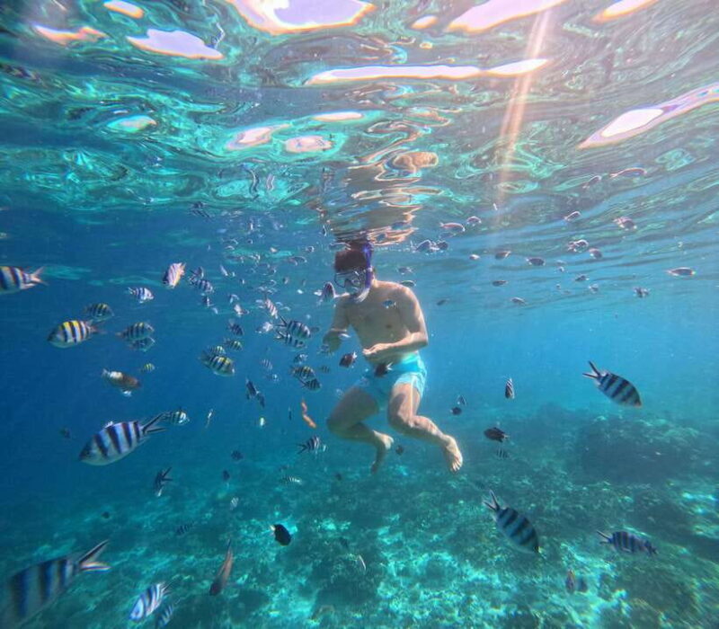 From Cebu: Island Hopping to 3 islands with BBQ lunch - Good To Know