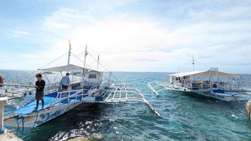 From Cebu: Island Hopping to 3 islands with BBQ lunch - Price & Value Analysis