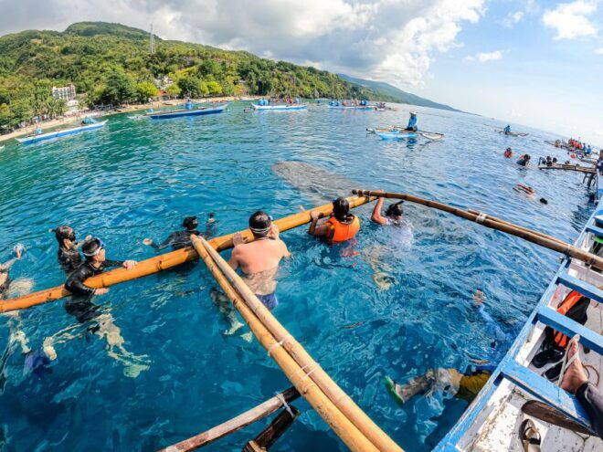 From Cebu: Oslob Whale Shark Snorkeling and Canyoning Tour - Experience Highlights
