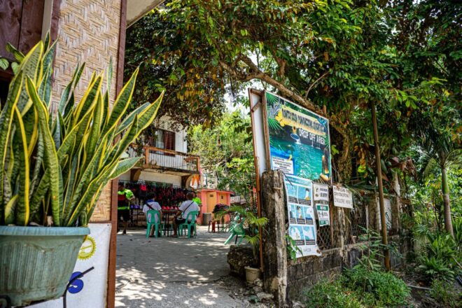 From Cebu: Oslob Whale Shark Snorkeling and Canyoning Tour - Customer Reviews and Ratings