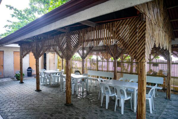 From Cebu: Oslob Whale Shark Snorkeling and Canyoning Tour - Directions and Starting Point