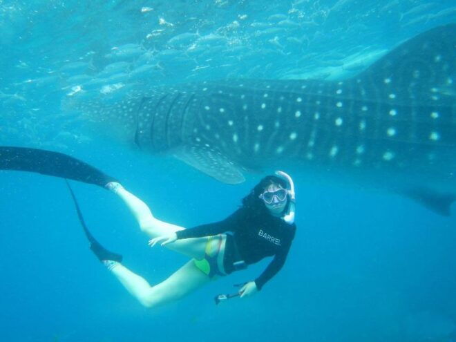 From Cebu: Whale Shark Tour and Tumalog Falls Private Tour - Customer Reviews