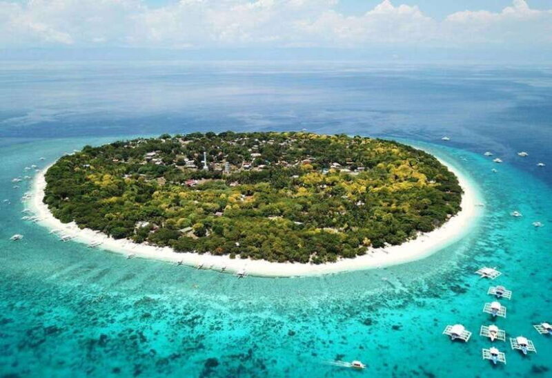 From Cebu:Pamilacan, Virgin Island, Dolphin Watching & Lunch - Why This Tour Offers Good Value