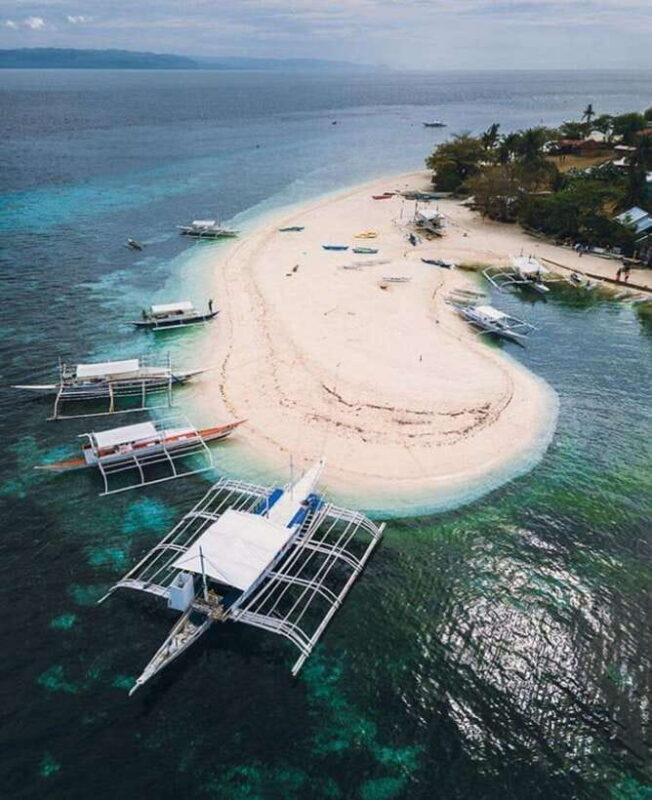 From Cebu:Pamilacan, Virgin Island, Dolphin Watching & Lunch - Who Should Consider This Tour?