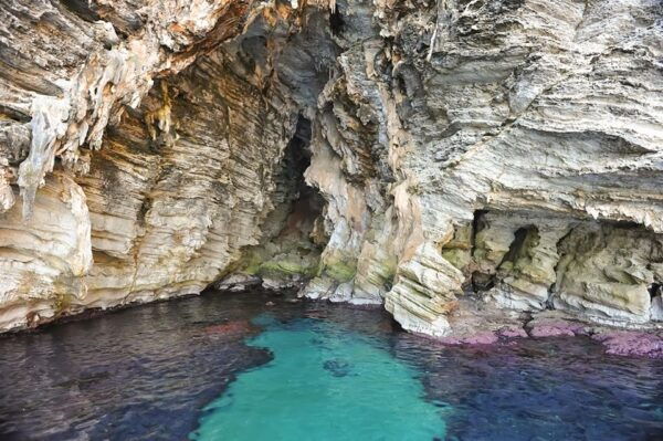From Cefalù: Catamaran Excursion to Zingaro and Scopello - Booking and Cancellation Policy