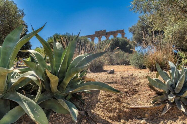 From Cefalù: Guided Tour to Agrigento Valley of the Temples - Good To Know