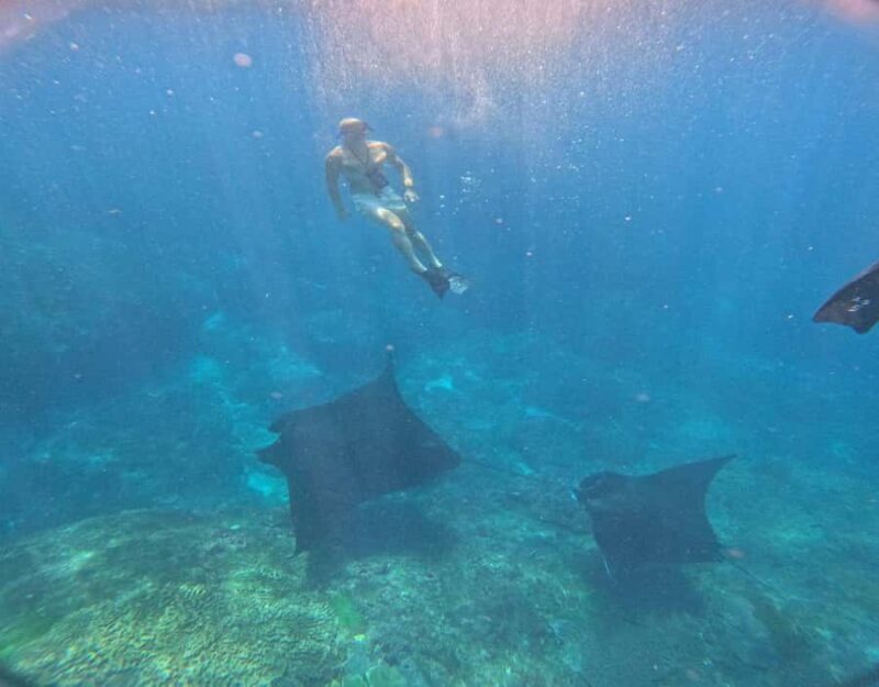 From Ceningan: Snorkeling with Manta Rays & Land Tour - Good To Know