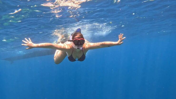 From Ceningan: Snorkeling With Turtle Experience - Good To Know