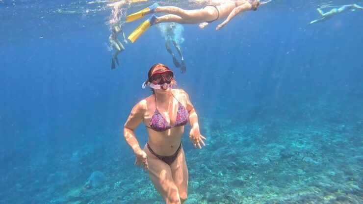 From Ceningan: Snorkeling With Turtle Experience - Booking Details