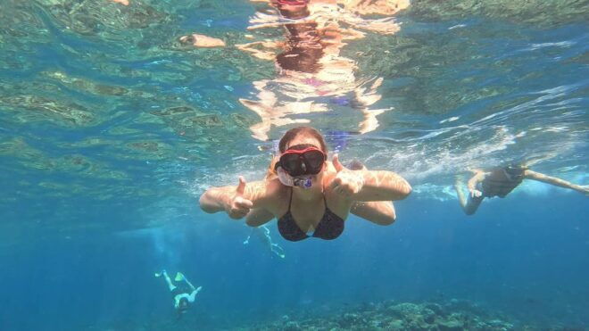 From Ceningan: Snorkeling With Turtle Experience - Experience Highlights