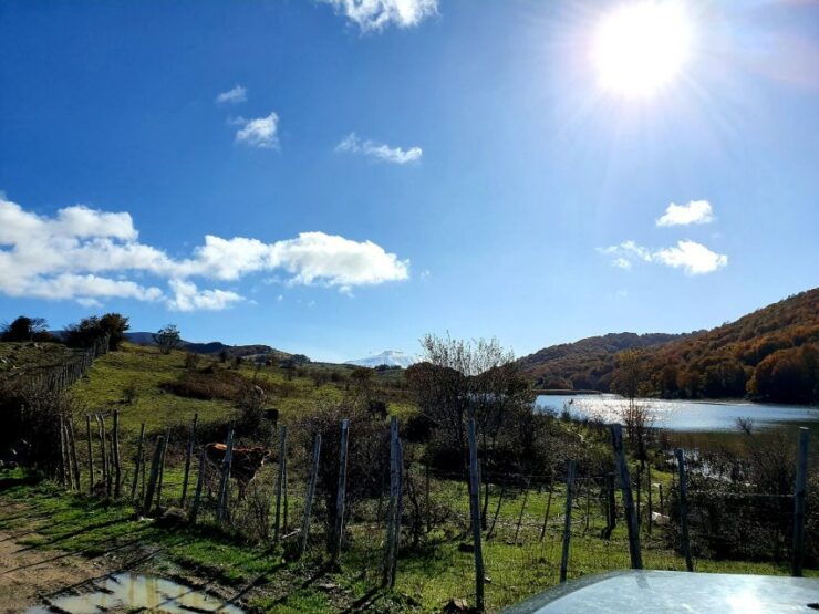 From Cesarò: Nebrodi Park by 4x4 Half-Day Trip - Experience Highlights
