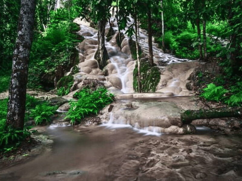 From Chang Mai: Sticky Waterfall Private Day Trip - Good To Know