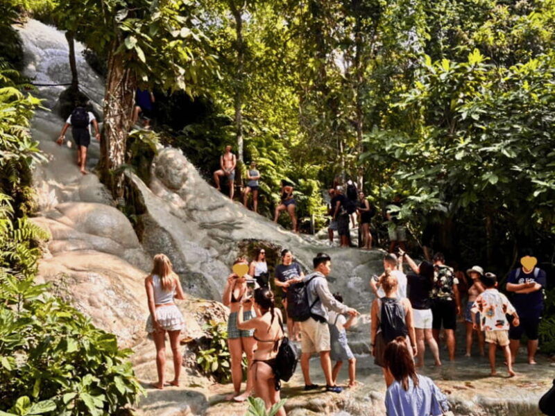 From Chang Mai: Sticky Waterfall Private Day Trip - Itinerary and Experience
