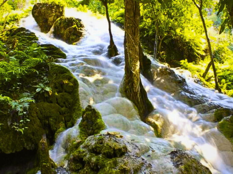 From Chang Mai: Sticky Waterfall Private Day Trip - Highlights and Benefits