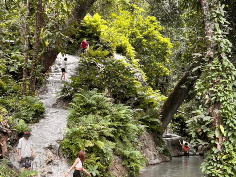 From Chang Mai: Sticky Waterfall Private Day Trip - Taking in the Local Culture