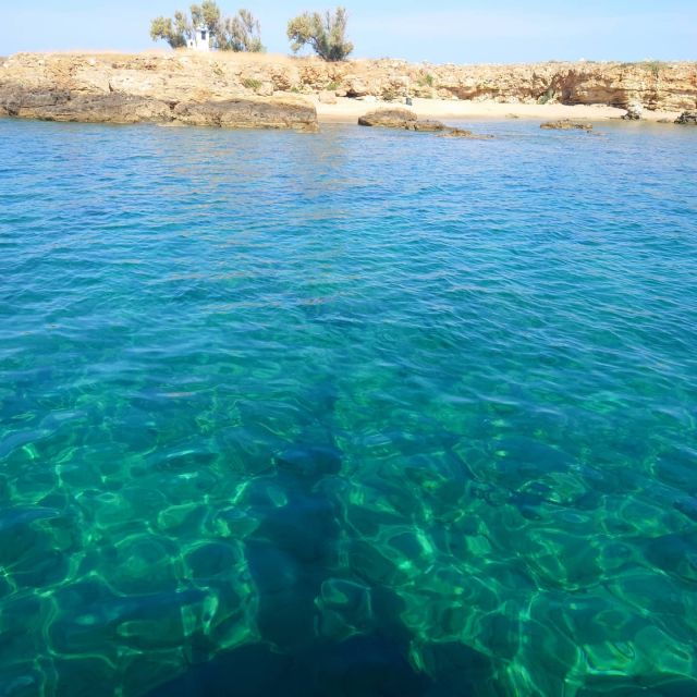 From Chania: Boat Trip to Lazaretta Island With Swim Stop - Customer Reviews