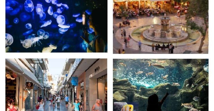 From Chania: CretAquarium, Heraklion City Tour - Tour Details