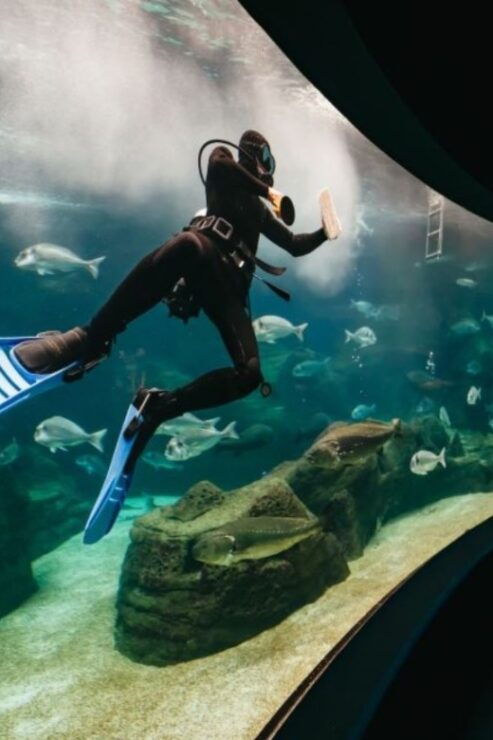From Chania: CretAquarium, Heraklion City Tour - Activity Details