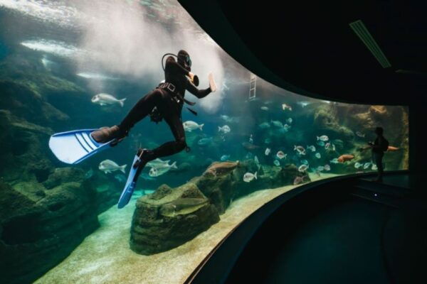 From Chania: CretAquarium, Heraklion City Tour - Booking