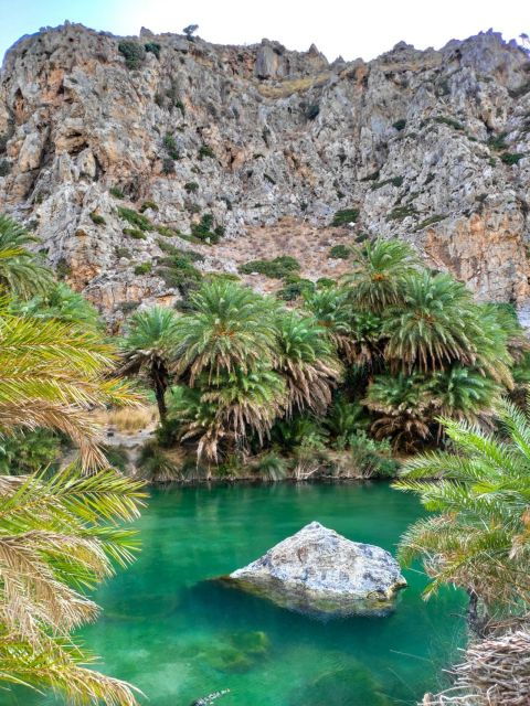 From Chania: Day Trip to Preveli Beach & Damnoni Beach - Experience Highlights