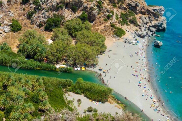 From Chania: Day Trip to Preveli Palm Beach - Highlights of the Day