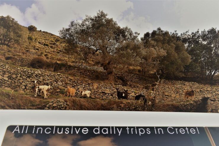 From Chania: Elafonisi & Falasarna Shared Tour With Snacks - Tour Highlights and Inclusions