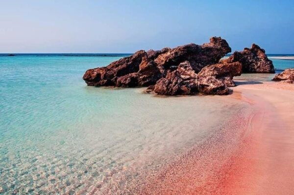 From Chania: Elafonisi Guided Tour - Tips for a Great Experience
